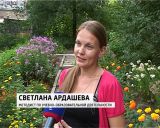 Красивый сад в усадьбе Хохрякова