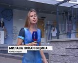 Арт-объект «Кошка-копилка» 