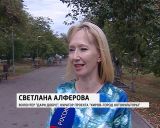 Арт-объект «Кошка-копилка» 