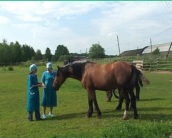 АПК: время, события, люди. Юбилей ветеринарной службы (09.09.2016)
