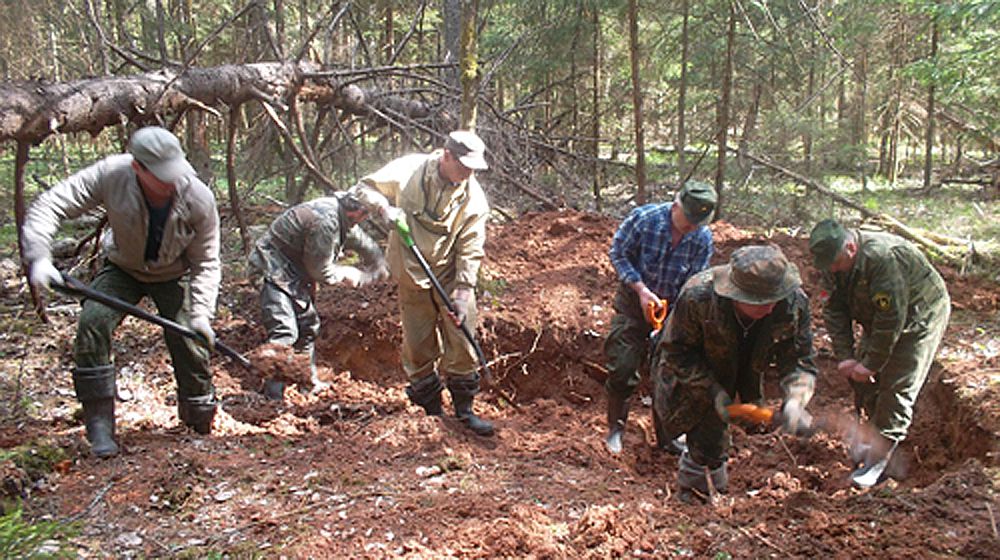 Кировские поисковики нашли останки 25 красноармейцев.