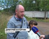 В Кирово-Чепецке собаки загрызли мужчину