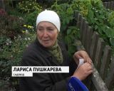 Рейд по садоводческим товариществам