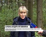 Как не потеряться в лесу?