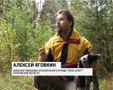 Как не потеряться в лесу?