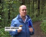 Как не потеряться в лесу?