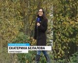 Житель деревни Мухачи сам проложил дорогу до своего дома