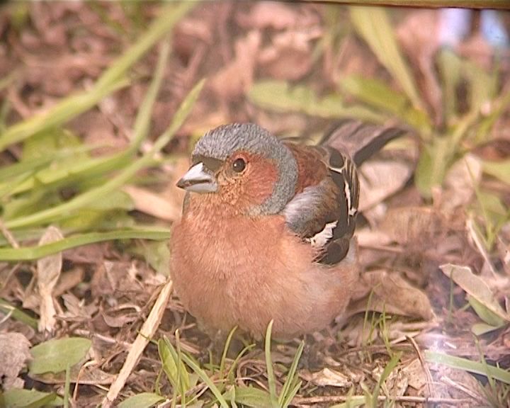 Экологический фотовернисаж в библиотеке имени Грина