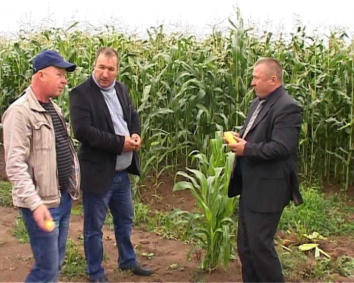 Губерния. Вяткаагробизнес (08.10.2016)