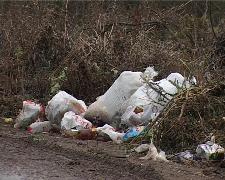 Рейд по несанкционированным свалкам