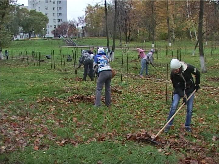 В Кировской области посадили 9 тысяч деревьев