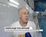 Кубок области по плаванию