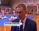 Чемпионат по кумитэ