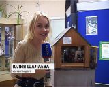 Выставка кукол "Мой сказочный мир" Натальи Лучининой