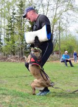 Кировчане - чемпионы Кубка России по служебному собаководству