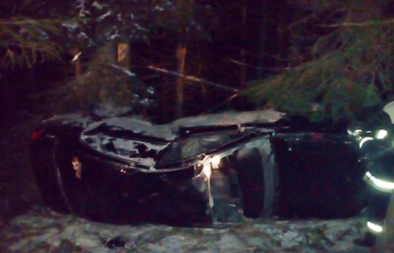 В Богородском районе в кювет съехал 