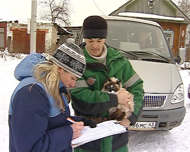 В Заречной части Кирова введен карантин по бешенству