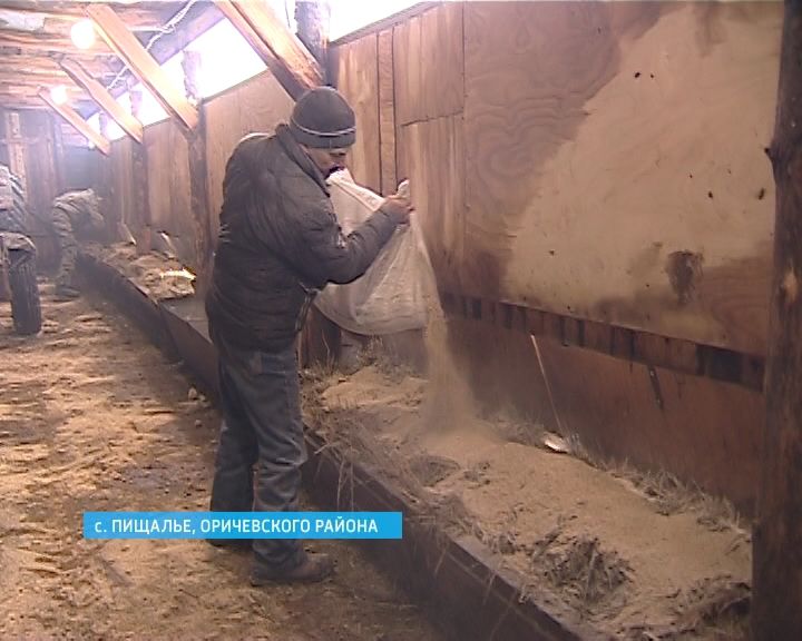 Достижения оричевских фермеров были отмечены на выставке 