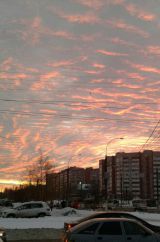 Кировчане обсуждают последствия ледяного дождя, прошедшего 11 ноября.