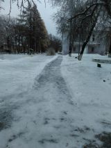 Кировчане обсуждают последствия ледяного дождя, прошедшего 11 ноября.