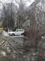 Кировчане обсуждают последствия ледяного дождя, прошедшего 11 ноября.