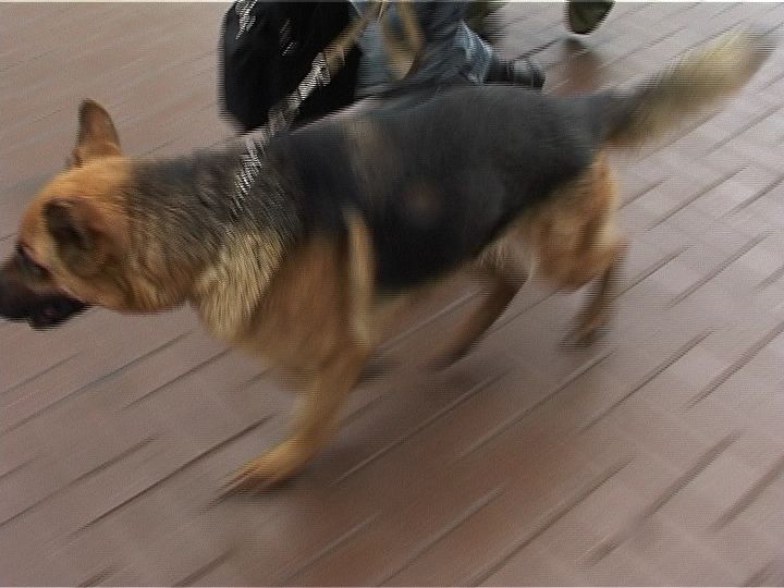 В Кирове эвакуировали ТЦ 