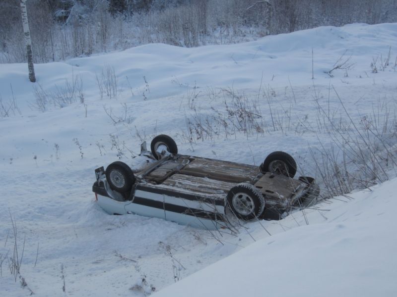 В Орловском районе в кювет улетела 