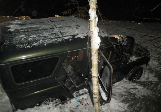 В Богородском районе в кювет съехал 