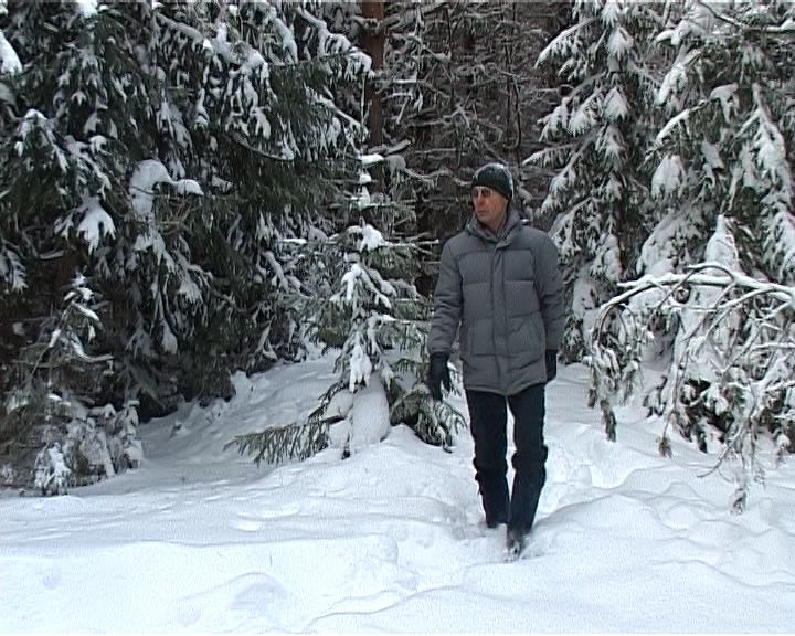 Кировчанин Александр Самылов вырастил на пустыре сосновый бор