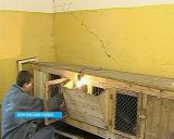 Осужден бывший руководитель реабилитационного центра «Новая жизнь» 