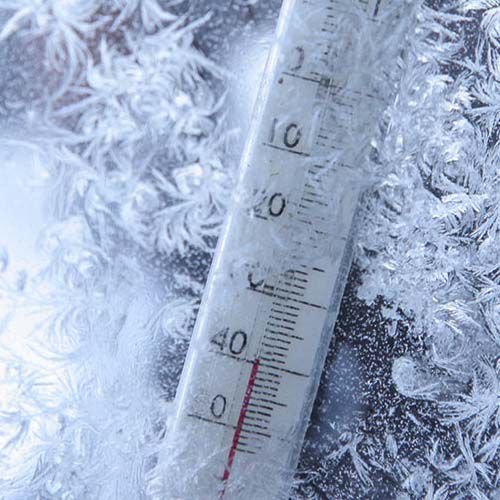 Учреждения культуры города Кирова будут работать в штатном режиме