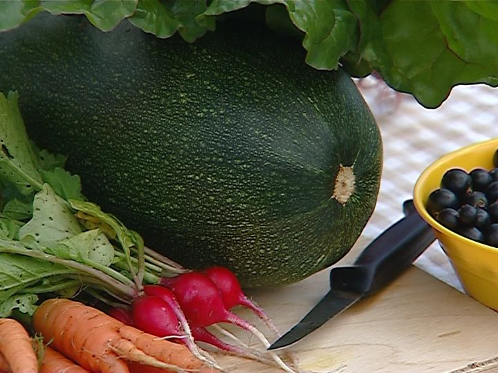 В Кировской области стартовал Месяц здорового питания