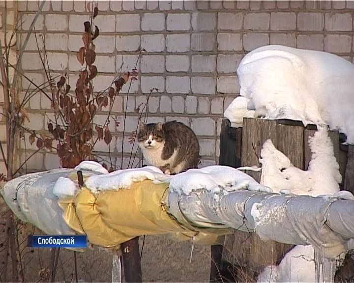 Коммунальная мистика в доме по Боярской, 3 в городе Слободском