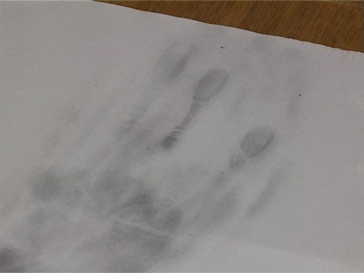 В Белой Холунице из квартиры исчезли продукты