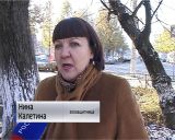 Отлов бродячих собак