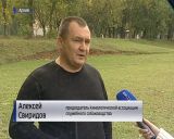 Отлов бродячих собак