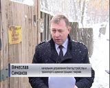 Отлов бродячих собак