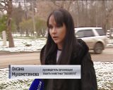 Отлов бродячих собак