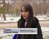 Прокуратура начала проверку ситуации с муниципальным заказом на отлов бродячих собак