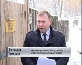 Прокуратура начала проверку ситуации с муниципальным заказом на отлов бродячих собак