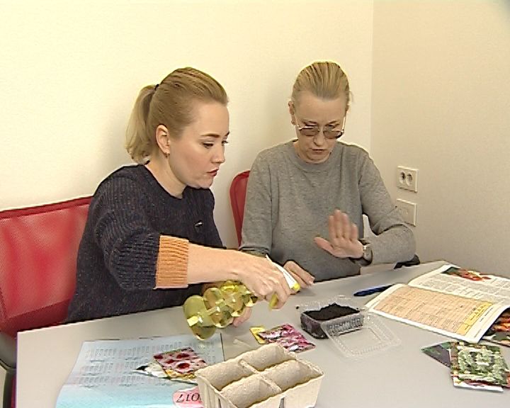 Школа здравого смысла (12.02.2017)