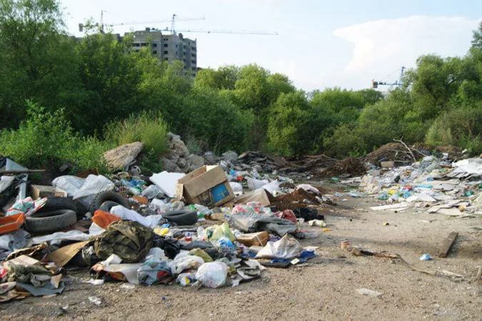 Проект ОНФ «Генеральная уборка»: за неделю в Кировской области выявлено 16 стихийных свалок.