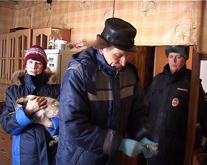 Четыре лисы, зараженных бешенством, были обнаружены с начала года на территории города Кирова