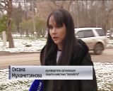 В Кирове начался массовый отлов безнадзорных собак 