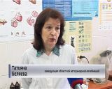 Вакцинация против бешенства