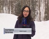 Вакцинация против бешенства