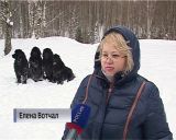 Вакцинация против бешенства