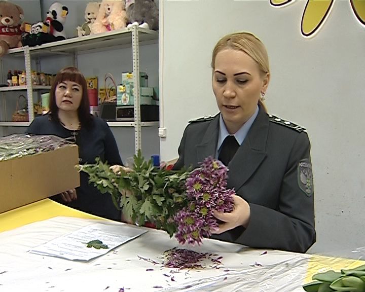 Россельхознадзор  проверяет  праздничные букеты к 8 марта
