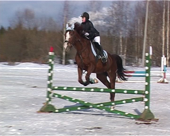 Кировский ипподром восстановили