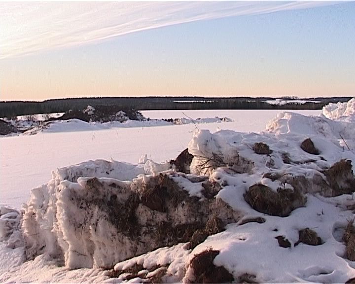О строительстве полигона ТБО в деревне Осинцы